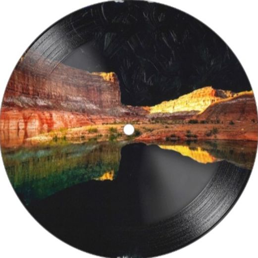 Vinyl 7" Picture Disc